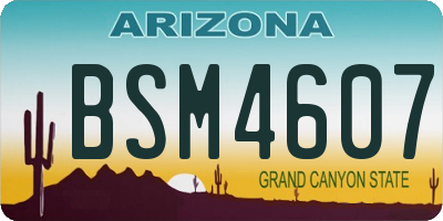 AZ license plate BSM4607