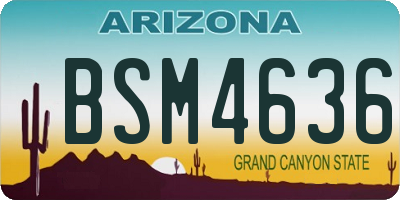 AZ license plate BSM4636