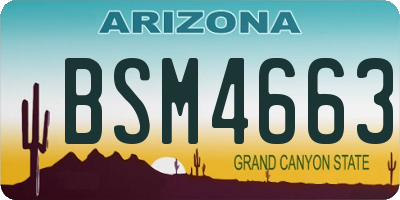 AZ license plate BSM4663