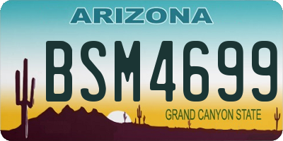 AZ license plate BSM4699