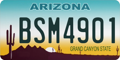 AZ license plate BSM4901