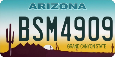 AZ license plate BSM4909