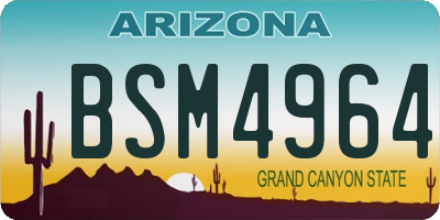 AZ license plate BSM4964
