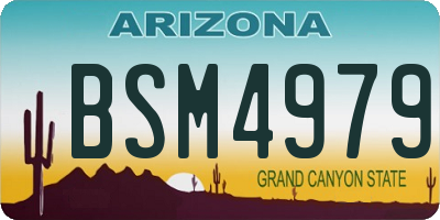 AZ license plate BSM4979