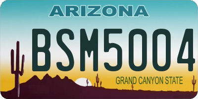 AZ license plate BSM5004