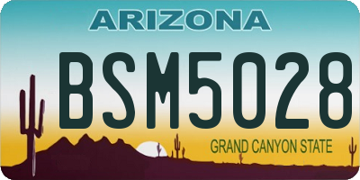 AZ license plate BSM5028
