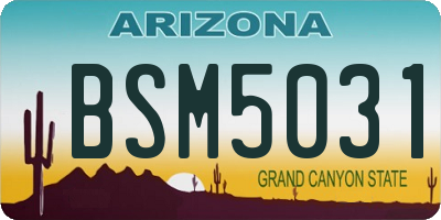 AZ license plate BSM5031