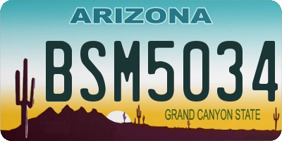 AZ license plate BSM5034