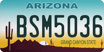 AZ license plate BSM5036