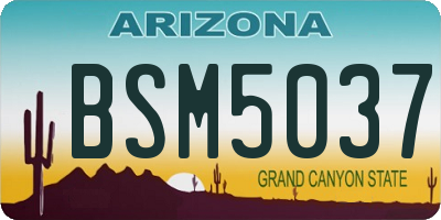 AZ license plate BSM5037