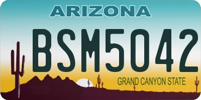AZ license plate BSM5042