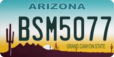 AZ license plate BSM5077