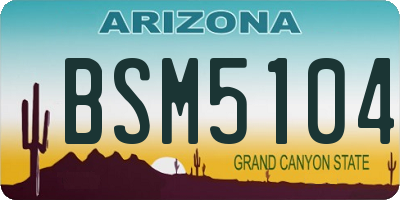 AZ license plate BSM5104
