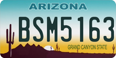 AZ license plate BSM5163