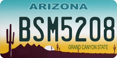 AZ license plate BSM5208