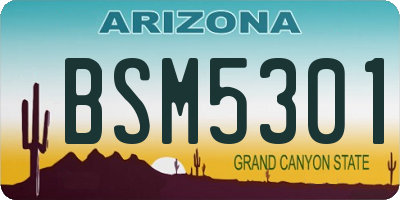 AZ license plate BSM5301
