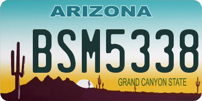 AZ license plate BSM5338