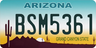 AZ license plate BSM5361