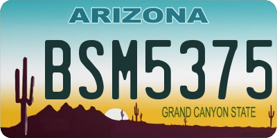 AZ license plate BSM5375