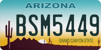 AZ license plate BSM5449