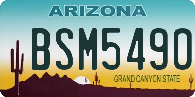 AZ license plate BSM5490