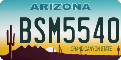 AZ license plate BSM5540