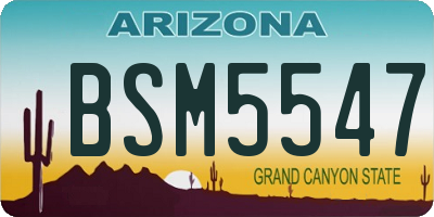 AZ license plate BSM5547