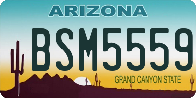 AZ license plate BSM5559