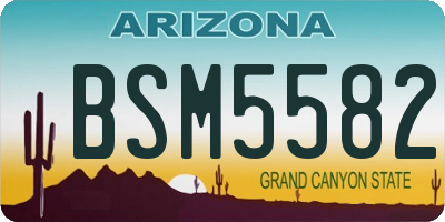 AZ license plate BSM5582