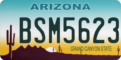 AZ license plate BSM5623