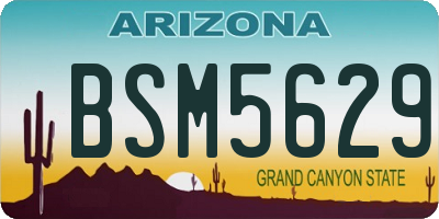 AZ license plate BSM5629