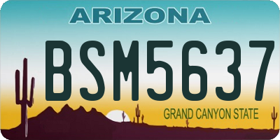 AZ license plate BSM5637