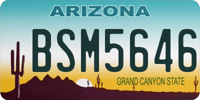 AZ license plate BSM5646