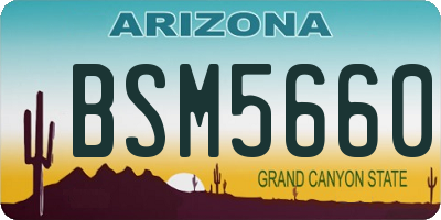 AZ license plate BSM5660