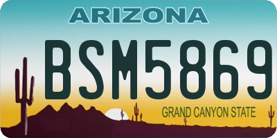 AZ license plate BSM5869