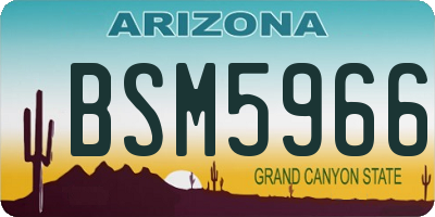 AZ license plate BSM5966