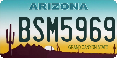 AZ license plate BSM5969