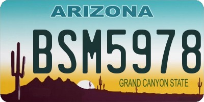 AZ license plate BSM5978