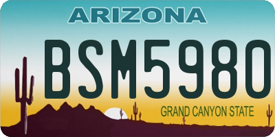 AZ license plate BSM5980