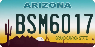 AZ license plate BSM6017