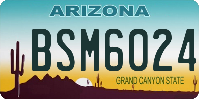 AZ license plate BSM6024