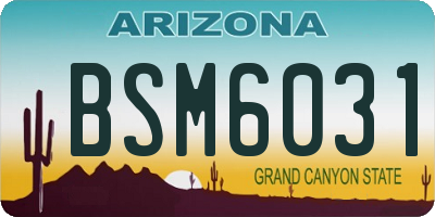 AZ license plate BSM6031