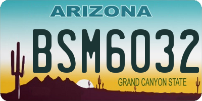 AZ license plate BSM6032