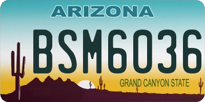 AZ license plate BSM6036