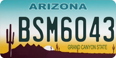 AZ license plate BSM6043