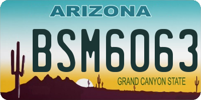 AZ license plate BSM6063