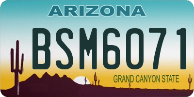 AZ license plate BSM6071