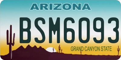 AZ license plate BSM6093