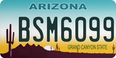 AZ license plate BSM6099