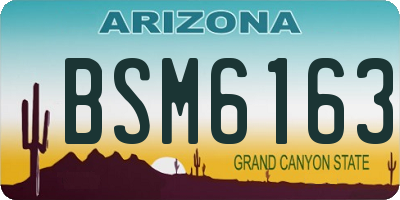 AZ license plate BSM6163